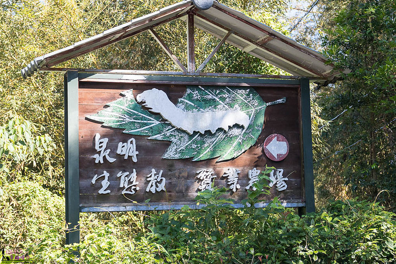 獅潭新店老街