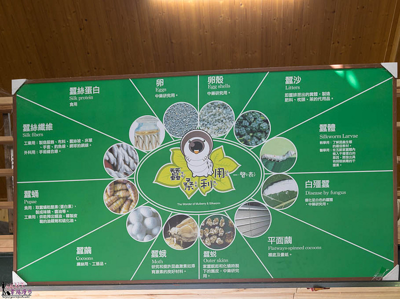 獅潭新店老街