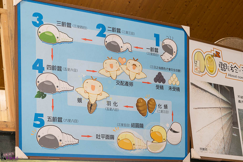 獅潭新店老街