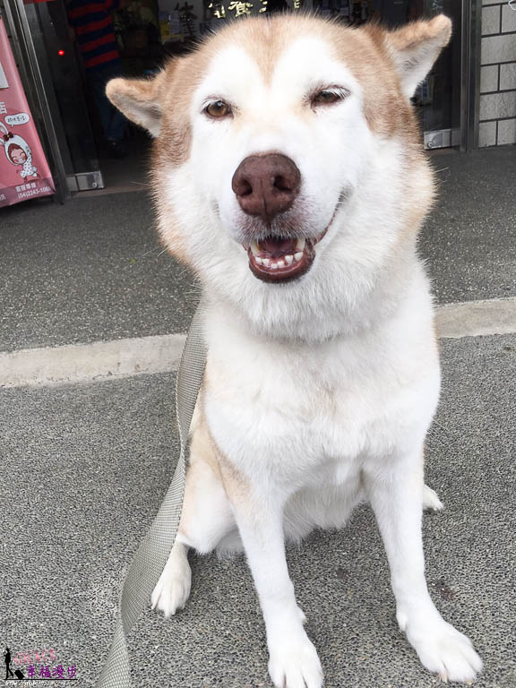 禪與松休閒養生會館