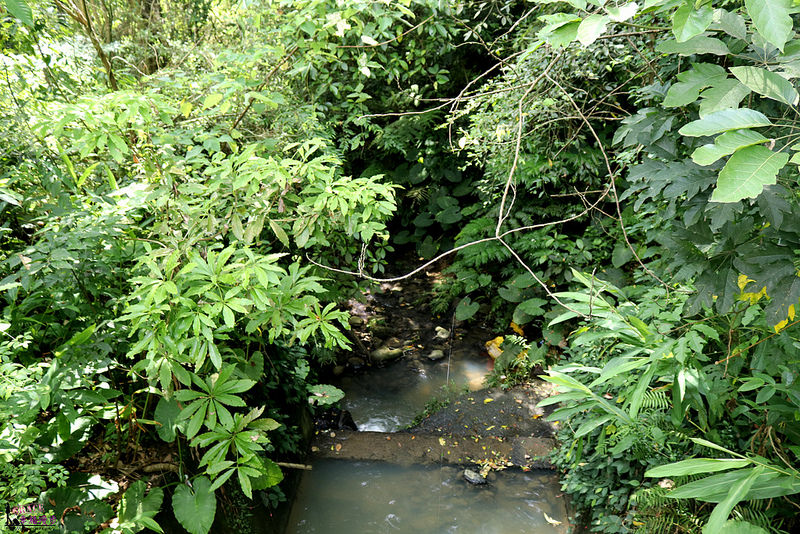 PhotoCap_IMG_6138