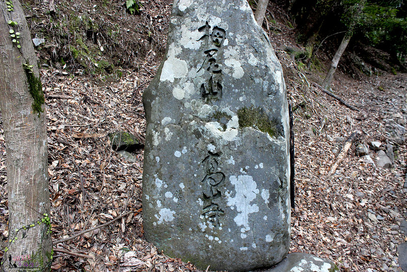 高雄三美の旅