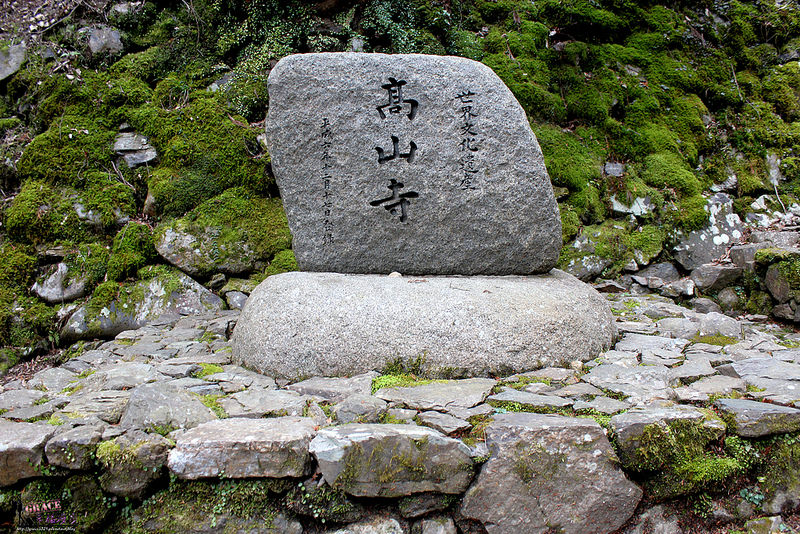 高雄三美の旅