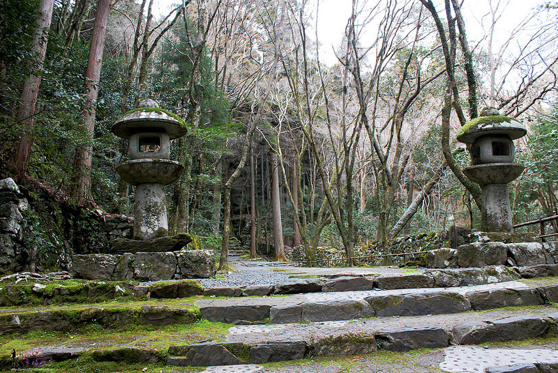 高雄三美の旅