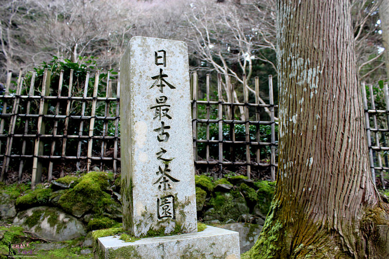 高雄三美の旅