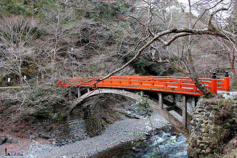 高雄三美の旅