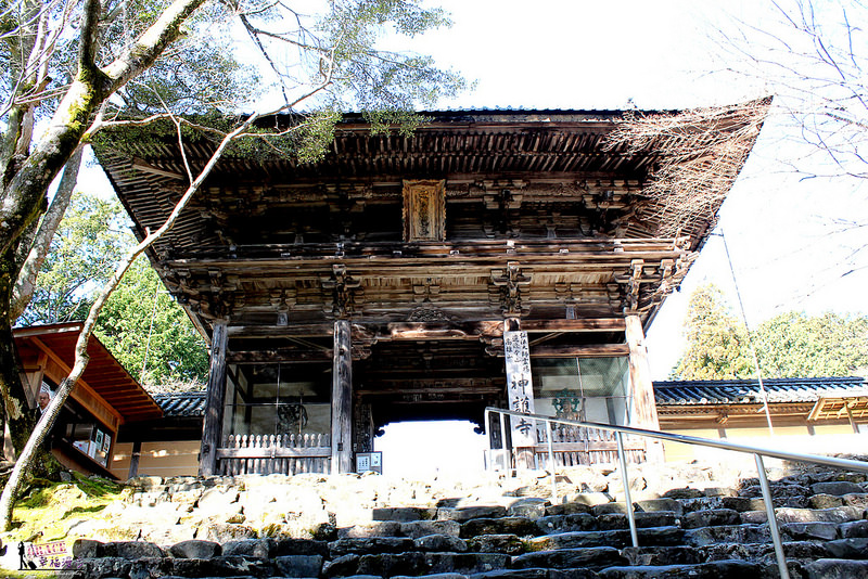 PhotoCap_IMG_5931