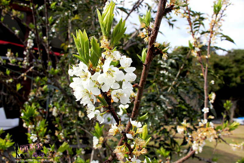 PhotoCap_IMG_5168