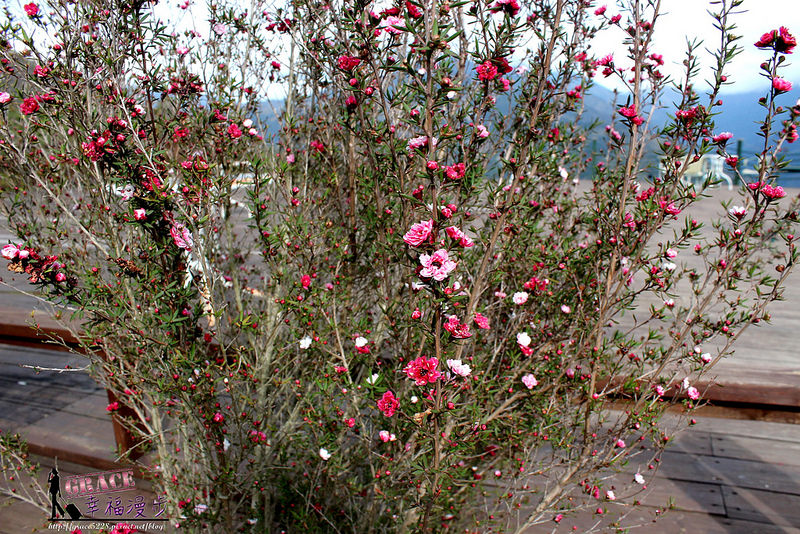 PhotoCap_IMG_5169