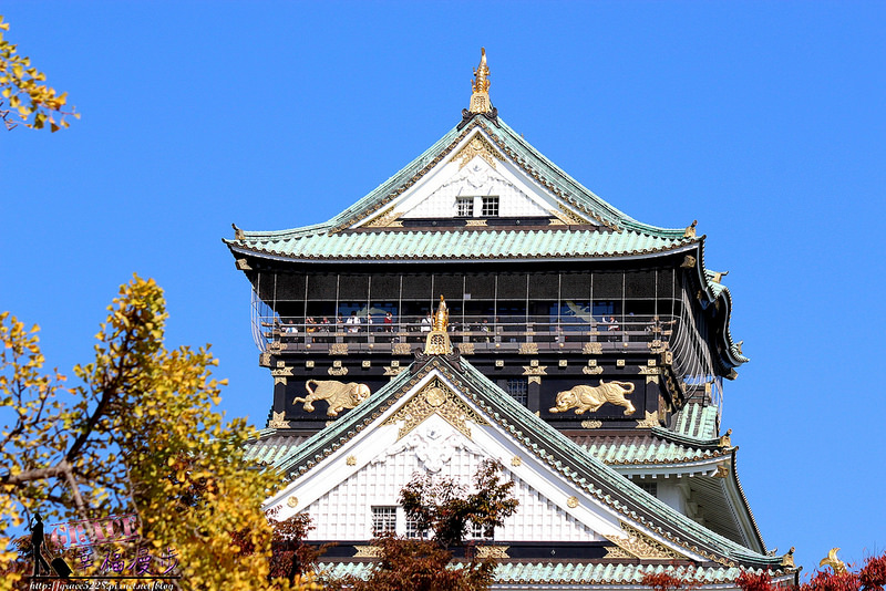 PhotoCap_1318