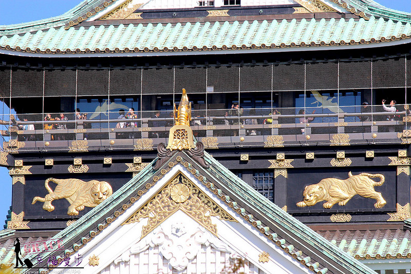 PhotoCap_1319