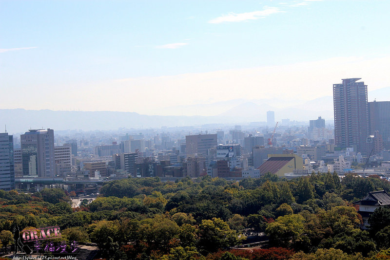 PhotoCap_1340