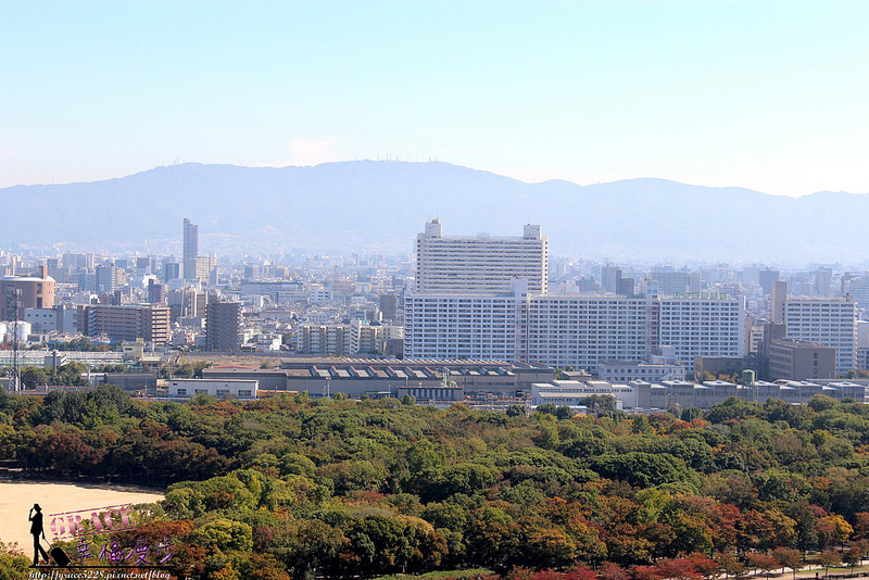 PhotoCap_1341
