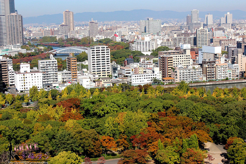 PhotoCap_1348