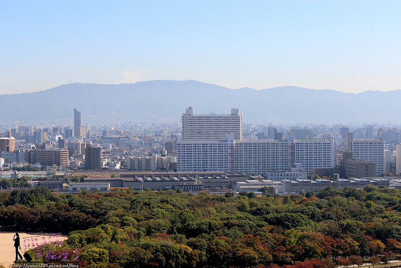 PhotoCap_1342