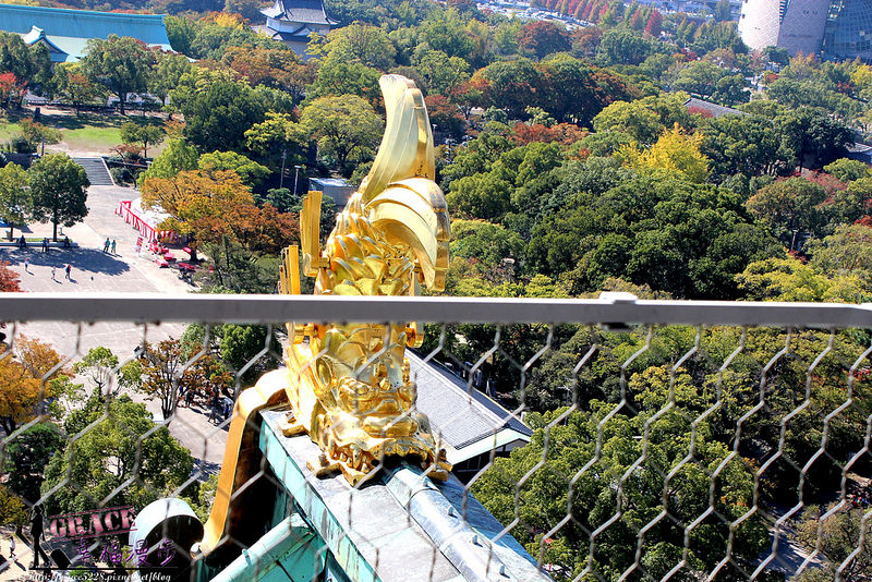 PhotoCap_1337