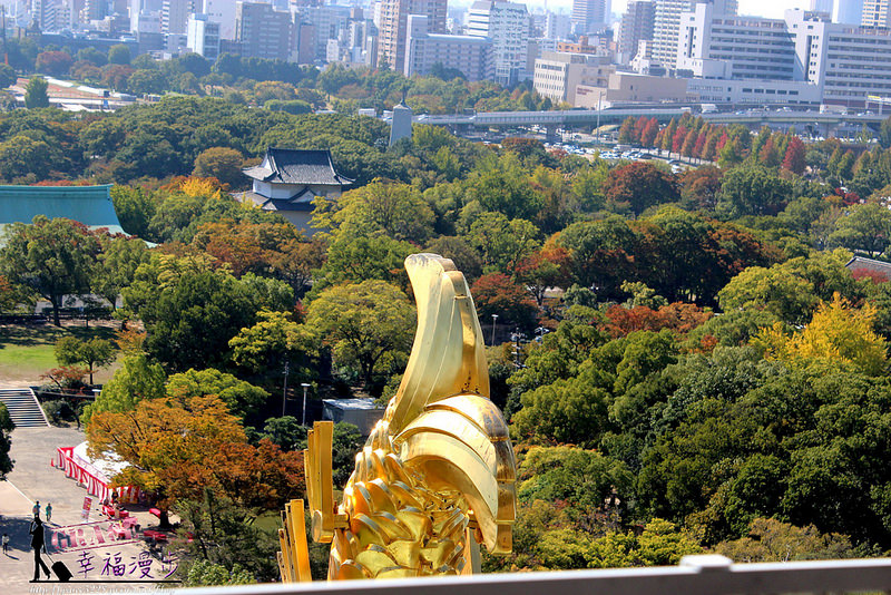 PhotoCap_1336