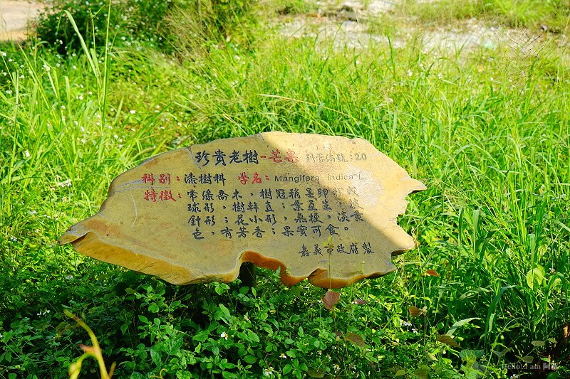 嘉義盧厝