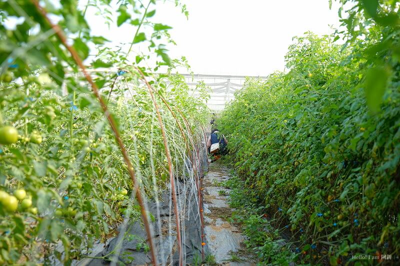 嘉義盧厝社區-24