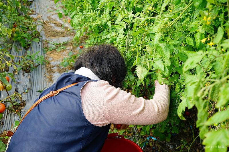 嘉義盧厝社區-30