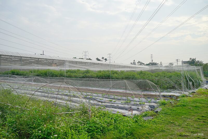 嘉義盧厝社區-47