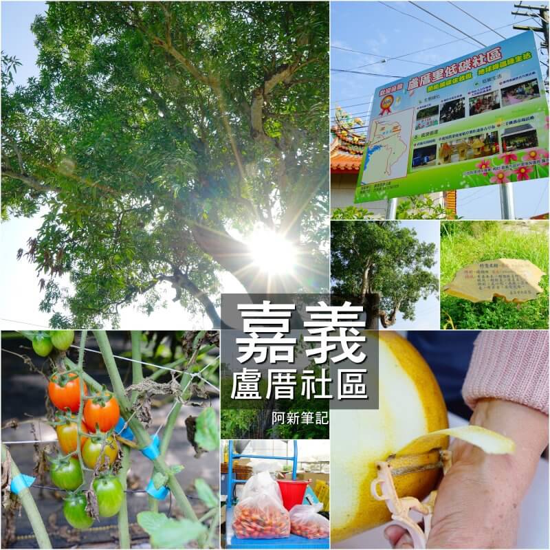 嘉義盧厝社區-57