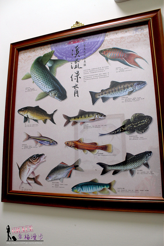 討海人ㄟ厝
