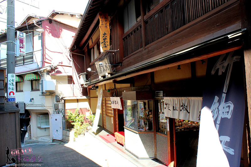 PhotoCap_1060