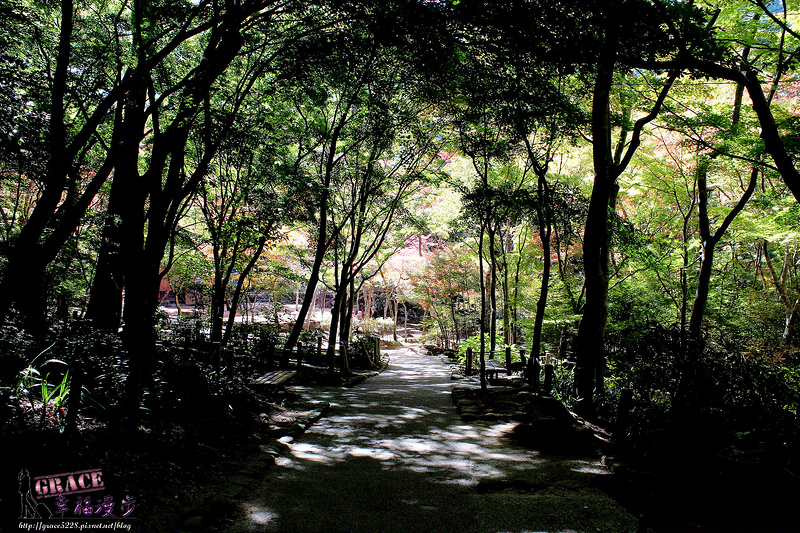 PhotoCap_1109