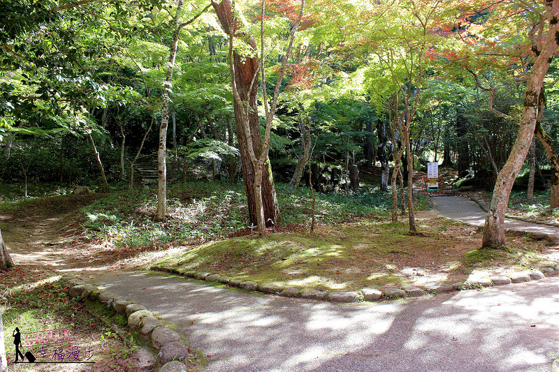 PhotoCap_1102