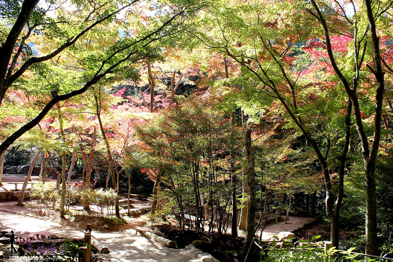PhotoCap_1108