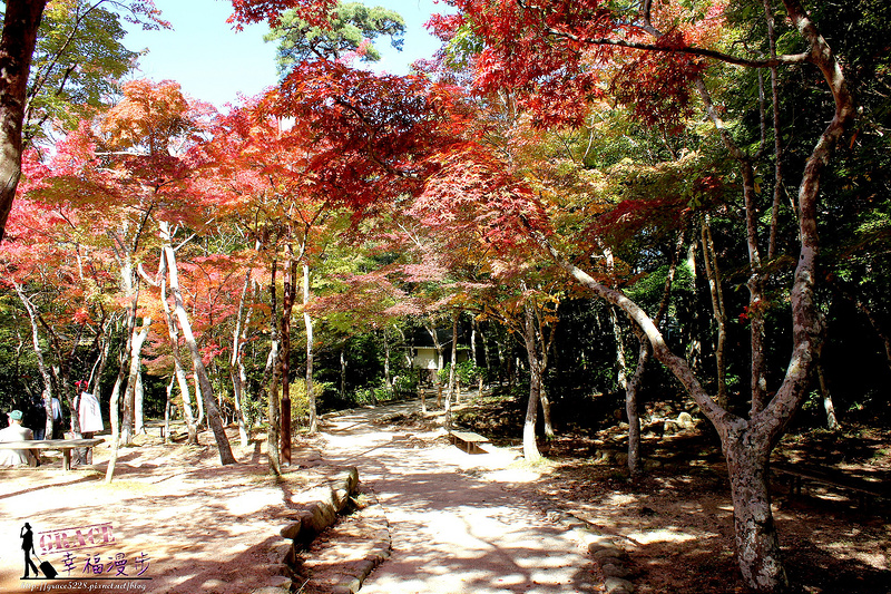 PhotoCap_1101