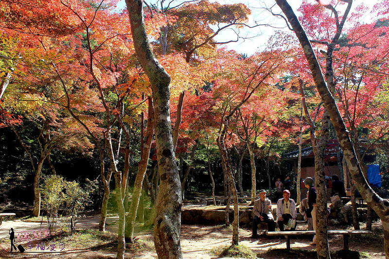 PhotoCap_1107