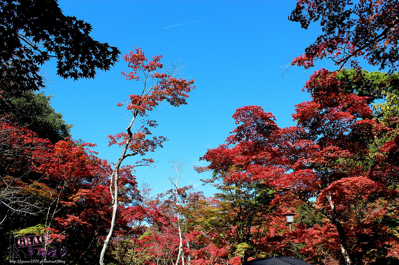 PhotoCap_1100