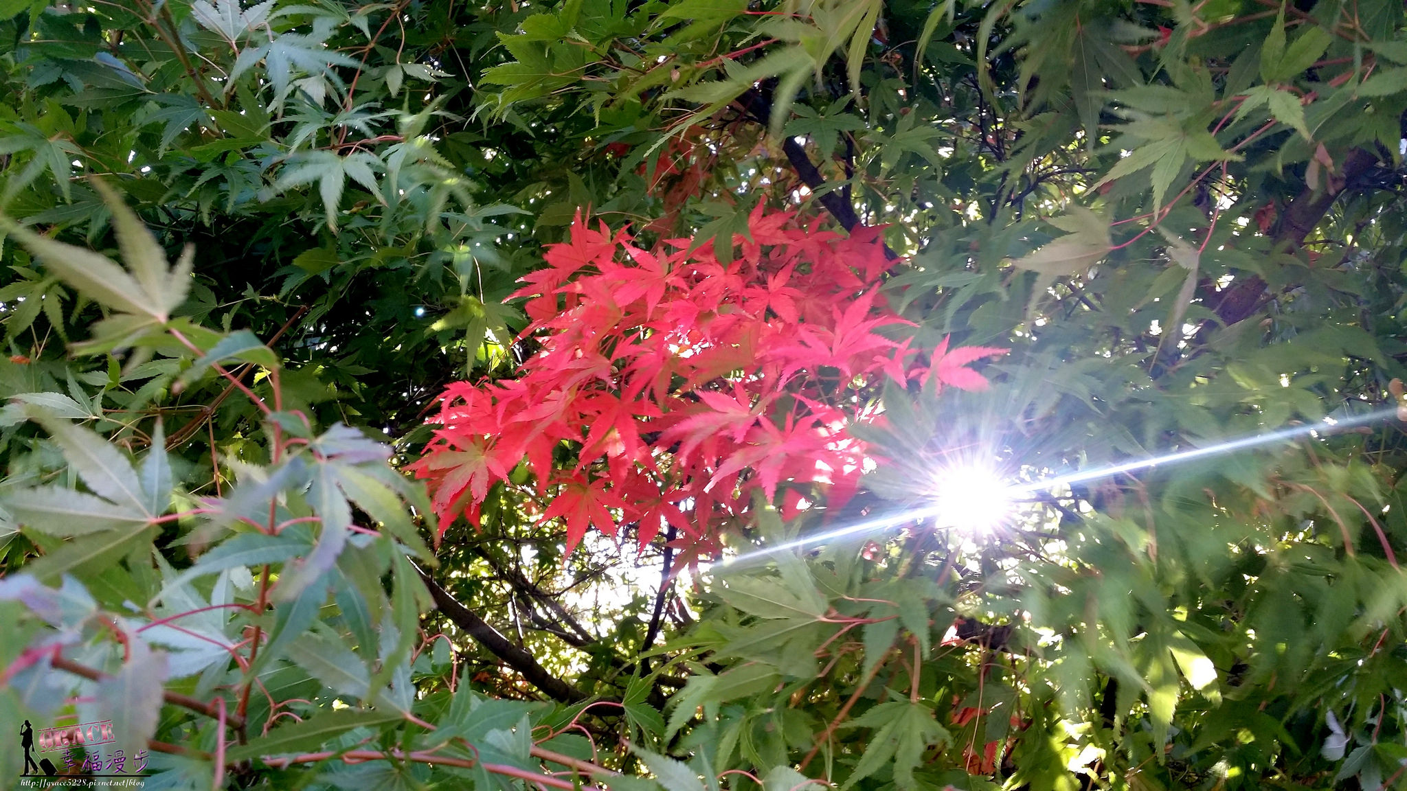 PhotoCap_20141029_101850