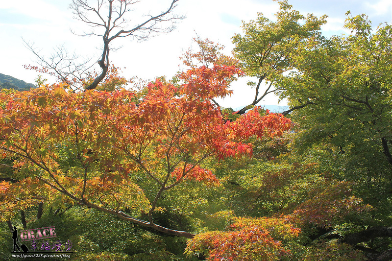 PhotoCap_801