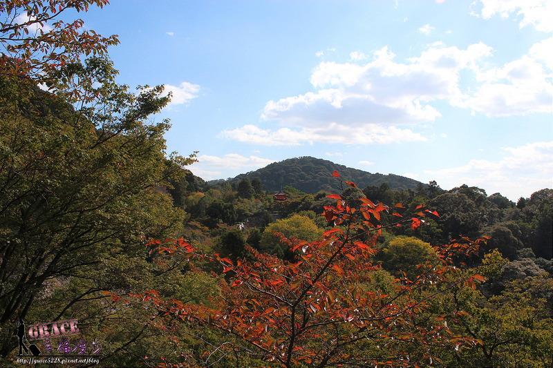 PhotoCap_809