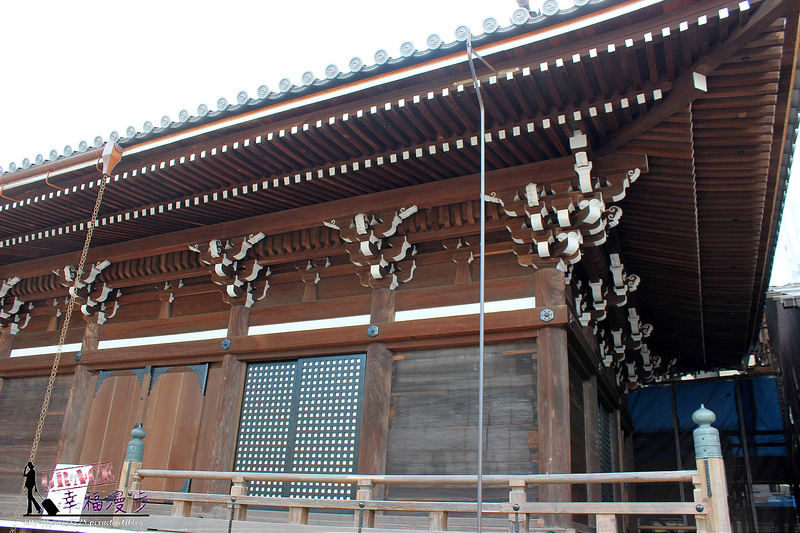 PhotoCap_806