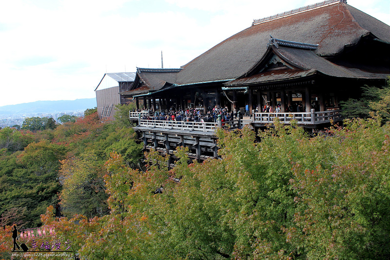 PhotoCap_827