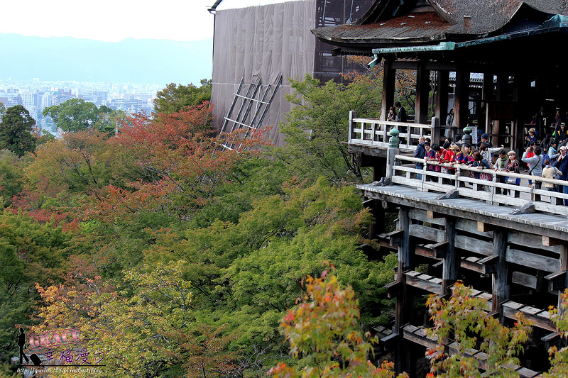 PhotoCap_832