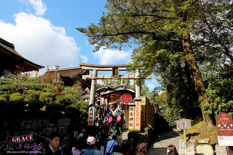 PhotoCap_824