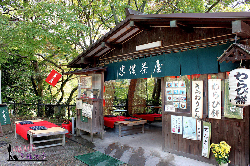 PhotoCap_839