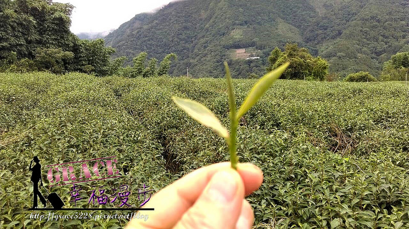 PhotoCap_8243
