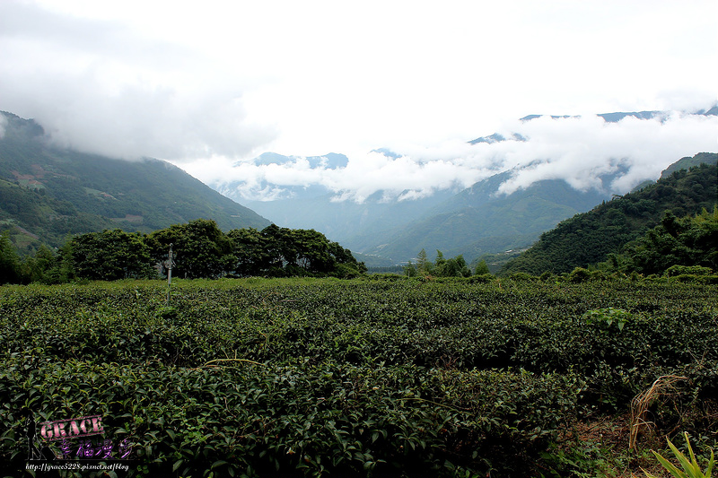 PhotoCap_IMG_3496 - 複製