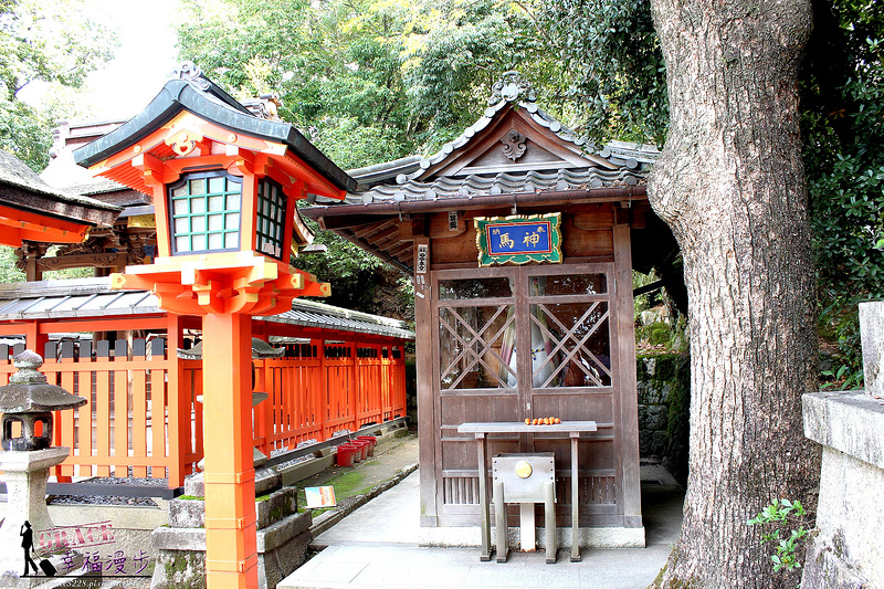 PhotoCap_748