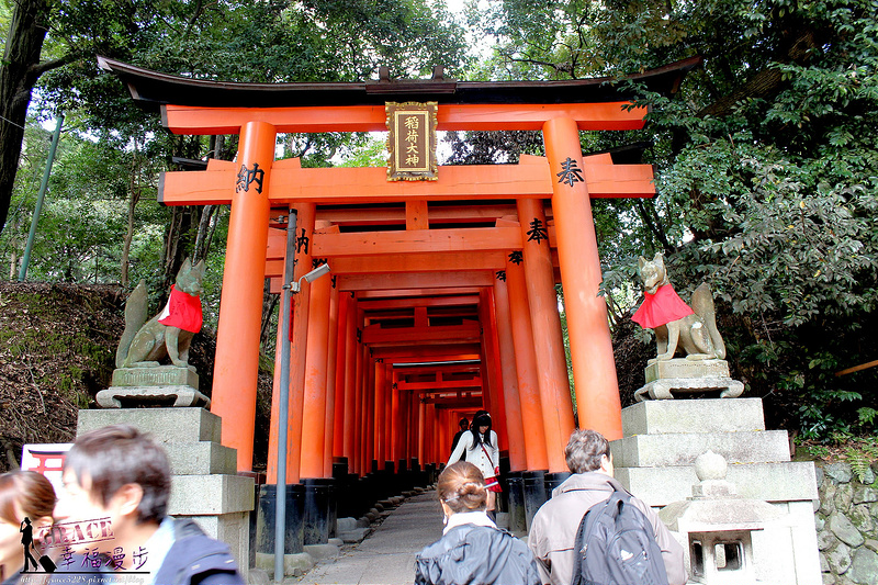 PhotoCap_766