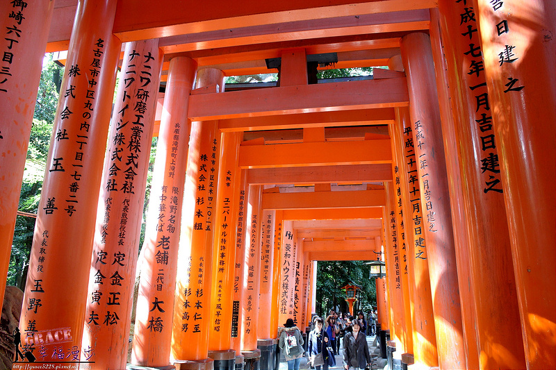 PhotoCap_756