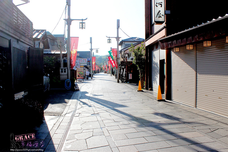 PhotoCap_598
