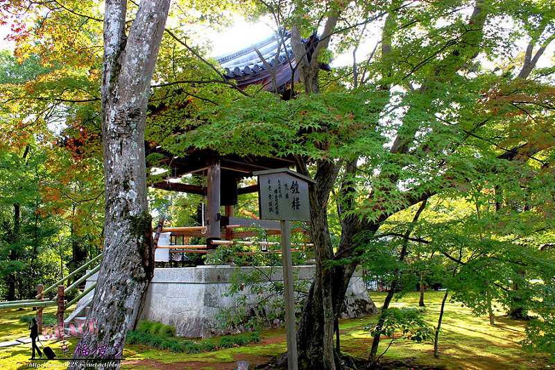 金閣寺
