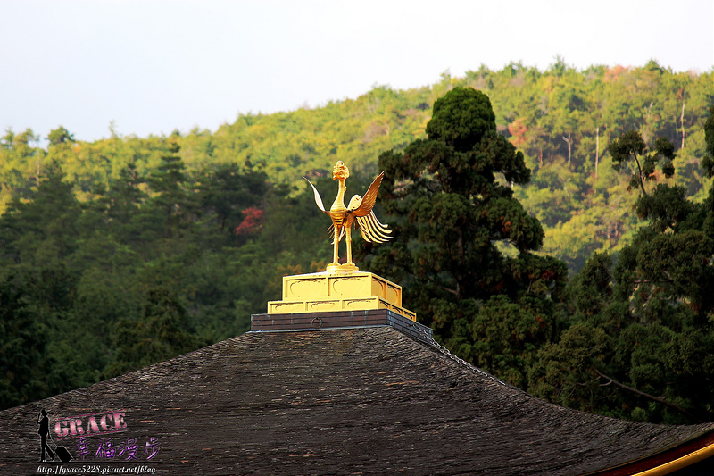PhotoCap_537